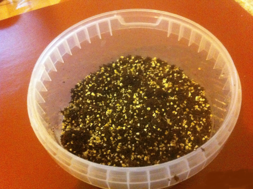 Des mélanges pour violettes avec une petite quantité de sable et de perlite conviennent.