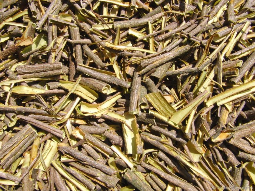 Berry Kalina Red: et ses propriétés bénéfiques et contre-indications, 10 recettes folkloriques