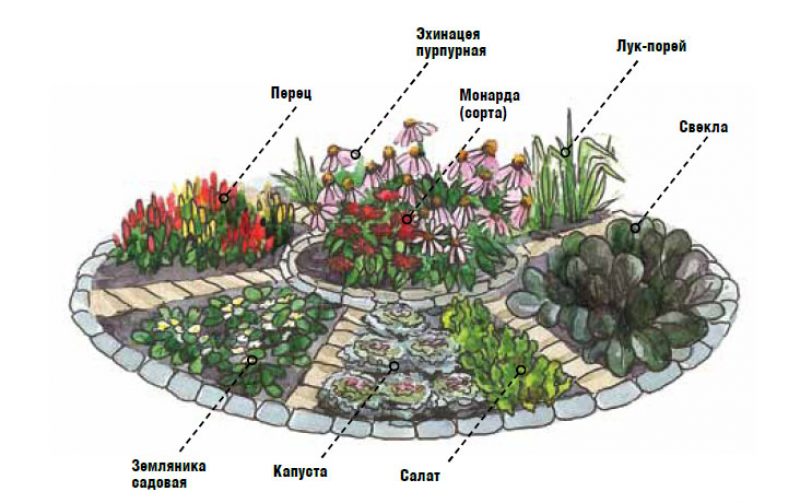 Comment faire un toboggan alpin dans le pays de vos propres mains? (60+Photos & Vidéos) Appareil & Conseils +Avis