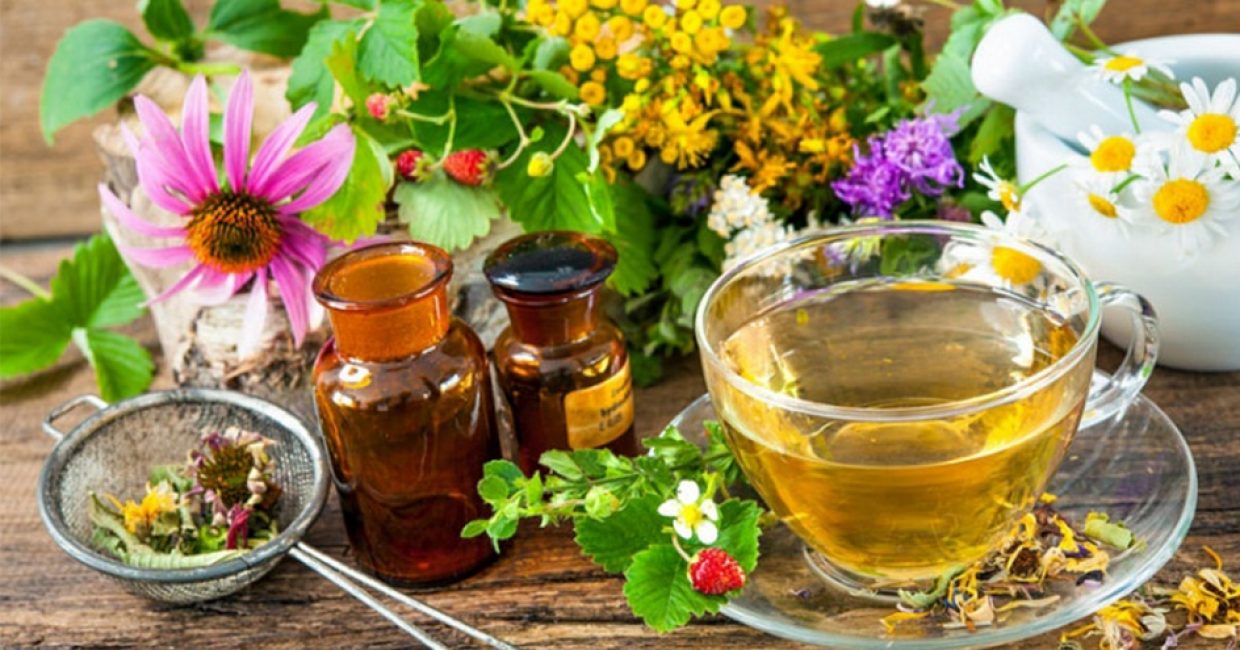 La présence d'une plante dans la collection indique qu'elle contient une forte teneur en vitamines.