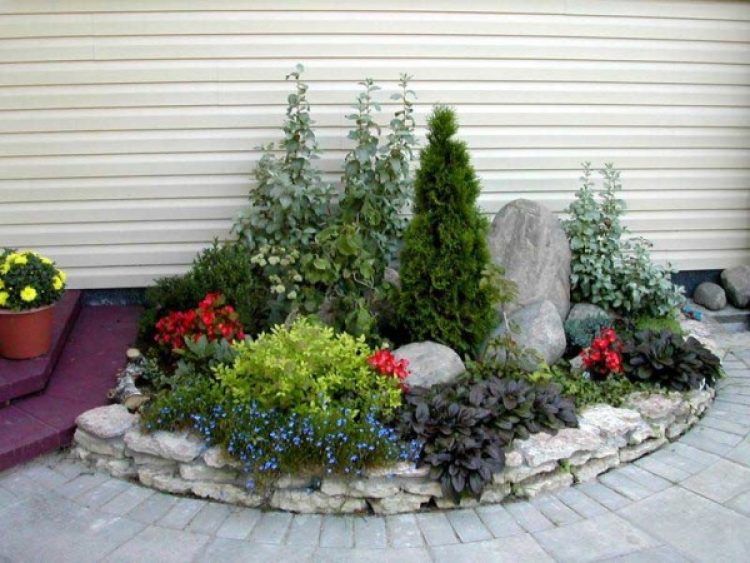 Mini jardin de rocaille compact