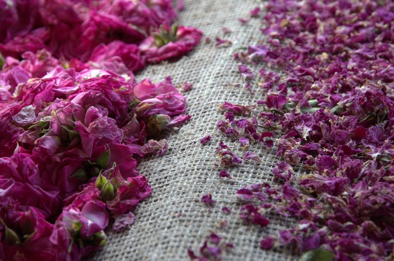 Il est préférable de ne pas recongeler et de ne pas conserver plus de deux ans.