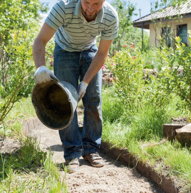 La tranchée est recouverte de gravier fin et de sable. L'épaisseur des couches doit être d'au moins 3-4 cm.Le remplissage est soigneusement compacté, renversé avec de l'eau.