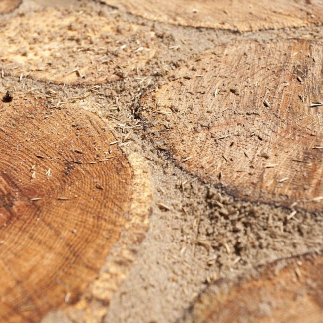 Après séchage du sable, l'objet fini ressemblera à ceci :