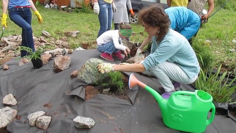 plantation de rocaille