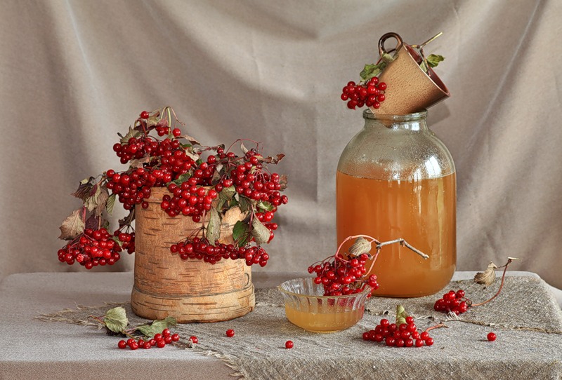 Berry Kalina Red: et ses propriétés bénéfiques et contre-indications, 10 recettes folkloriques