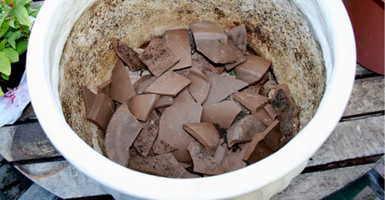 Le système de drainage doit être de faible épaisseur, constitué de pierres de taille moyenne ou d'argile expansée.