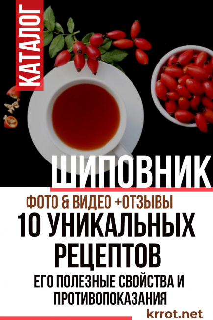 l'églantier et ses propriétés bénéfiques