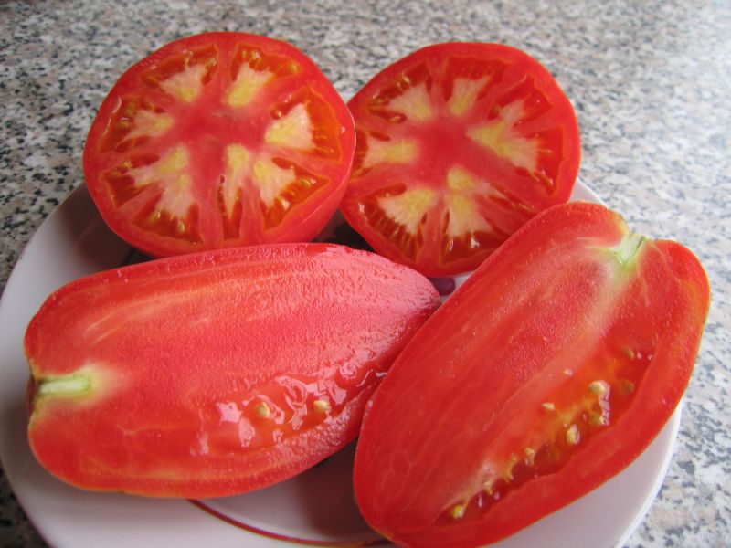 tomate Budyonovka