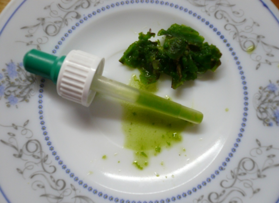 Jus de Kalanchoe dans une pipette