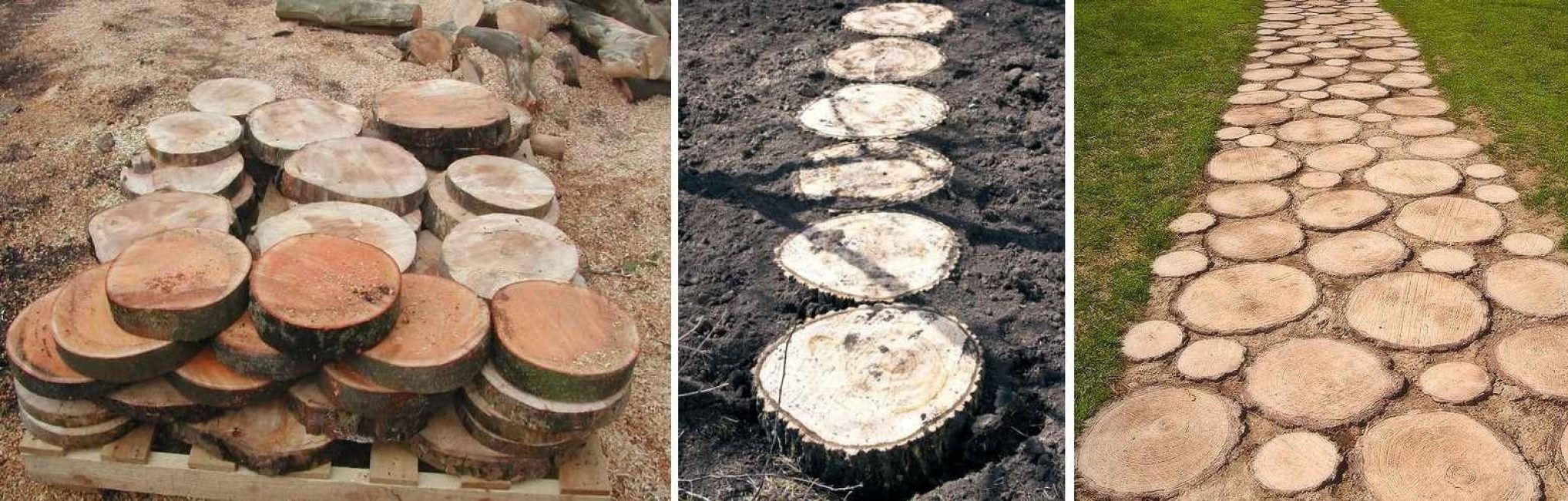 Sciez la bûche en morceaux de même épaisseur et posez-la sur le site.