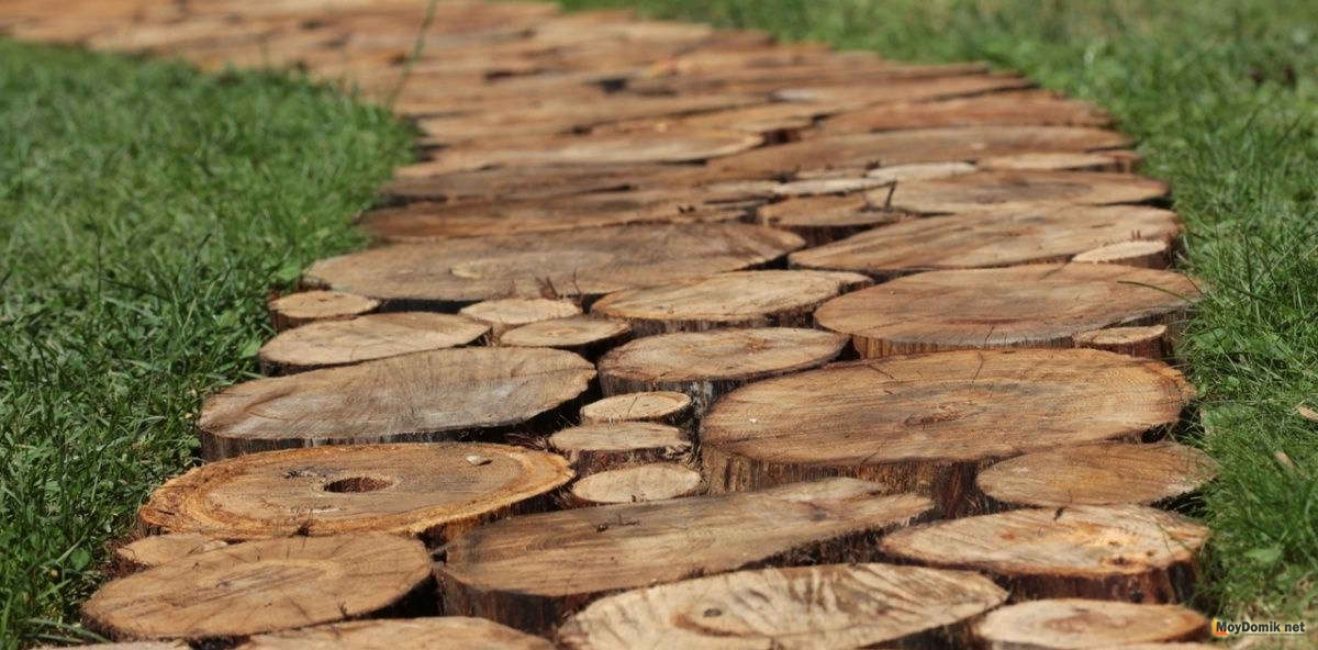 À l'unisson avec une telle composition, vous pouvez aménager un chemin à partir de coupes d'arbres