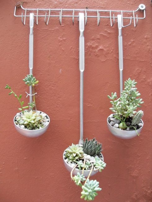 pots de fleurs de louches