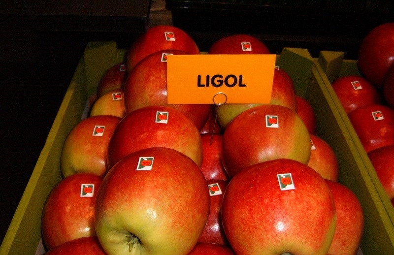 Pommes Ligol