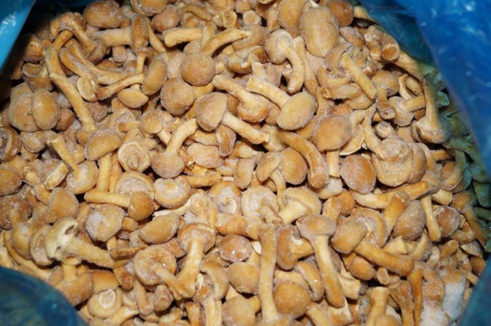 champignons surgelés