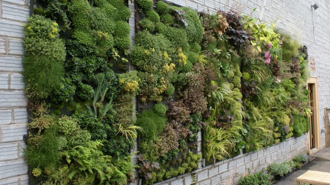 Les parterres de fleurs verticaux sont une façon moderne de faire ressembler votre jardin à une peinture moderniste.
