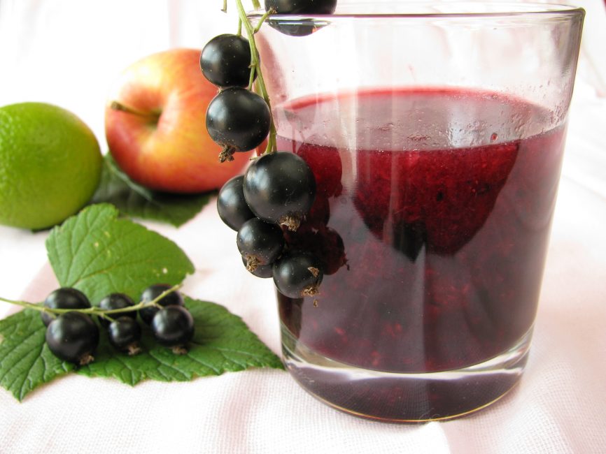 compote de pommes et groseilles