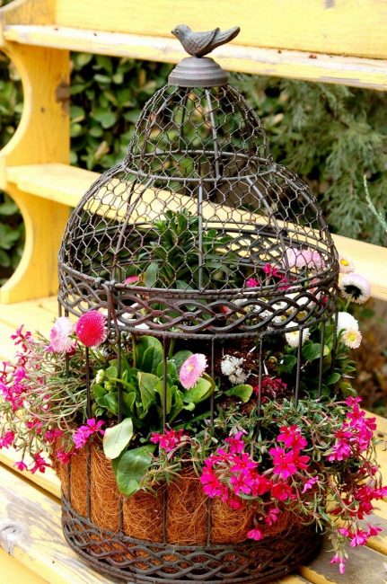 cage à oiseaux parterre de fleurs