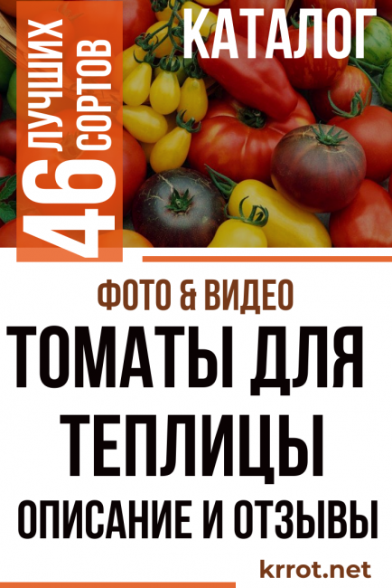 tomates