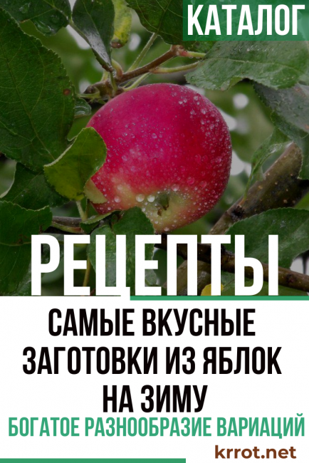 Préparations aux pommes pour l'hiver