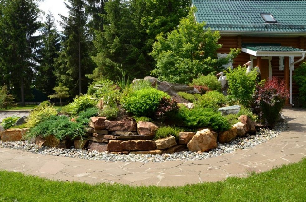 Colline alpine devant la maison
