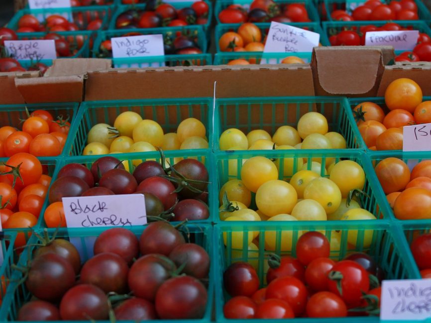 tomates sur le comptoir, de nombreux types