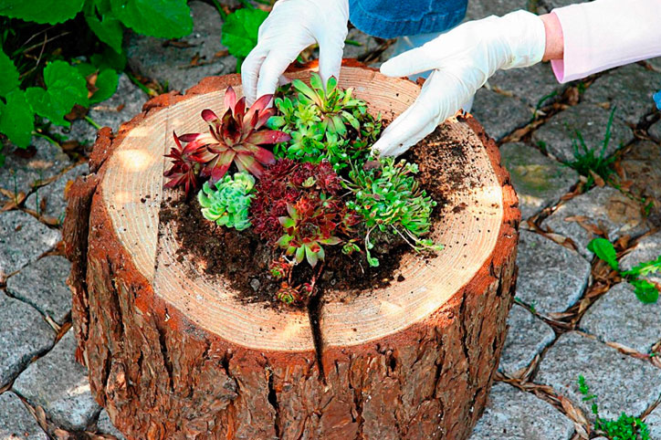 Le résultat est une plate-bande unique qui fera l'envie des voisins et des invités.