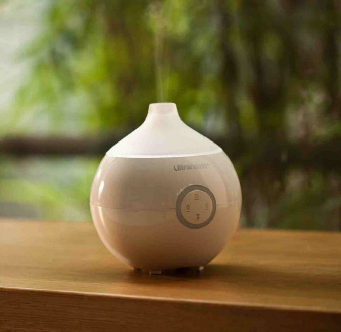 humidificateur pour plantes d'intérieur