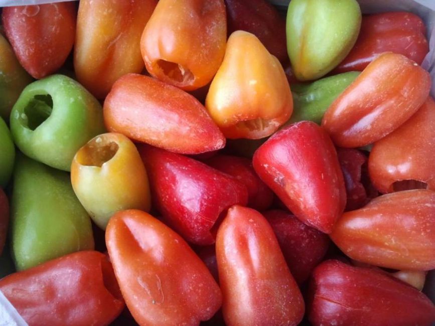 Congélation à sec du poivre