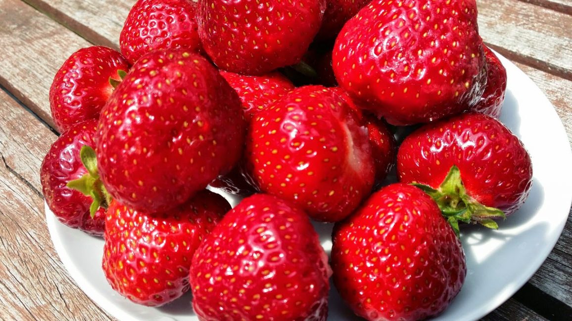 Variété remontante Koketka, cultivée à la maison