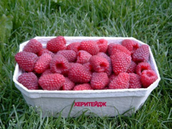 variété patrimoniale