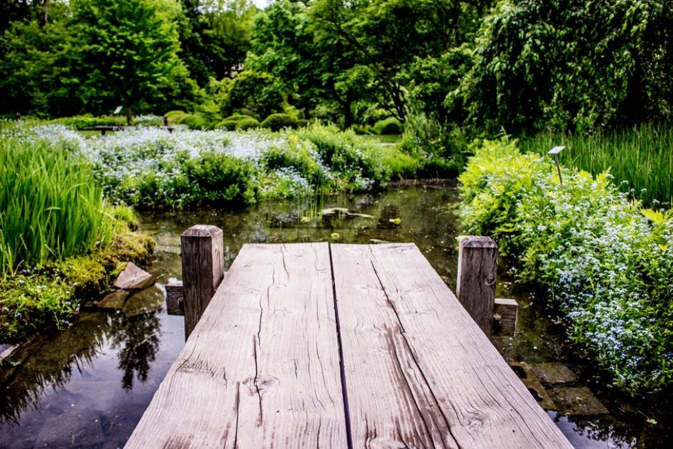 Pour donner au bassin un caractère naturel, recouvrez-le sur les bords de pierres, de gros cailloux ou de gravier