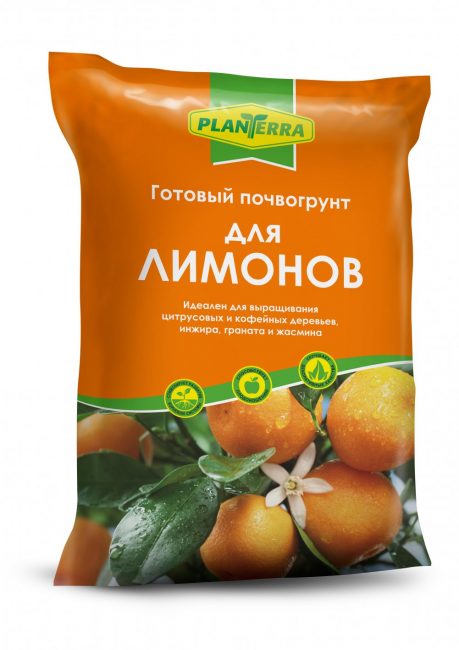 Dans le magasin, vous pouvez acheter de la terre prête à l'emploi pour planter des citrons d'intérieur.