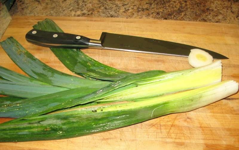 variété d'oignon Bastion