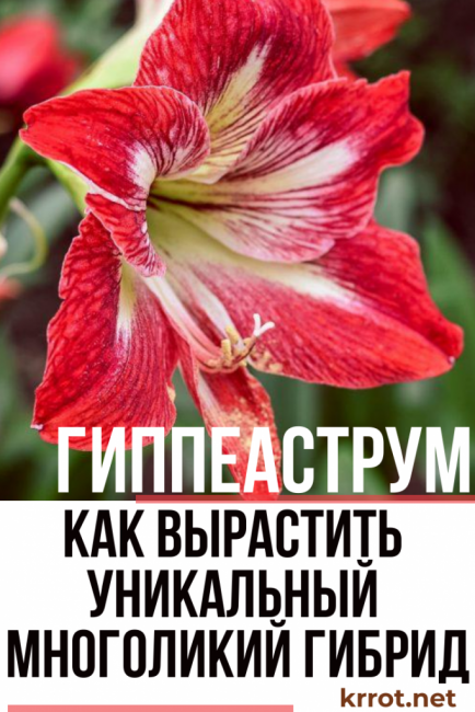  Des soins adaptés à domicile