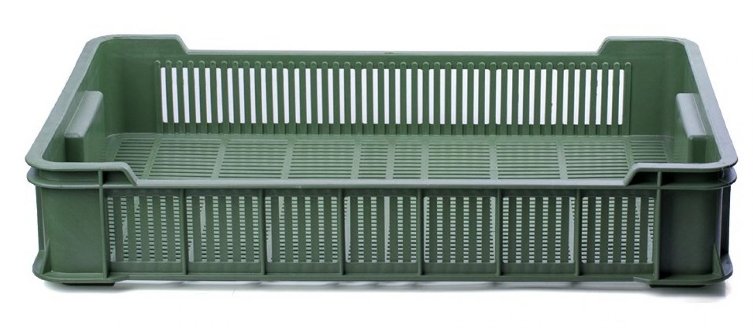 Vue approximative d'une boîte pour l'élevage hivernal de tulipes