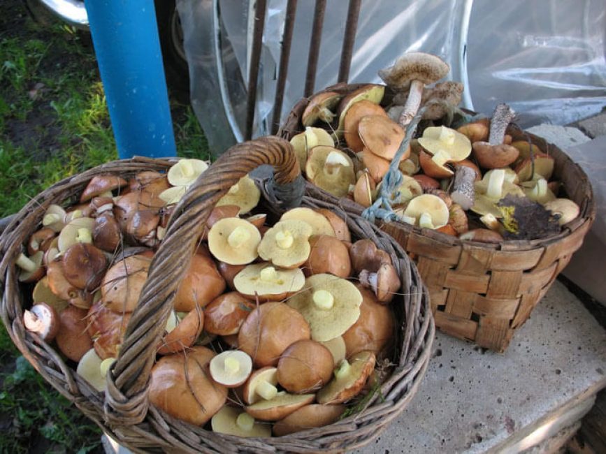 deux paniers d'huiles