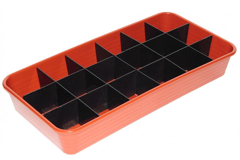 Versez le sol préparé dans la boîte de semis.