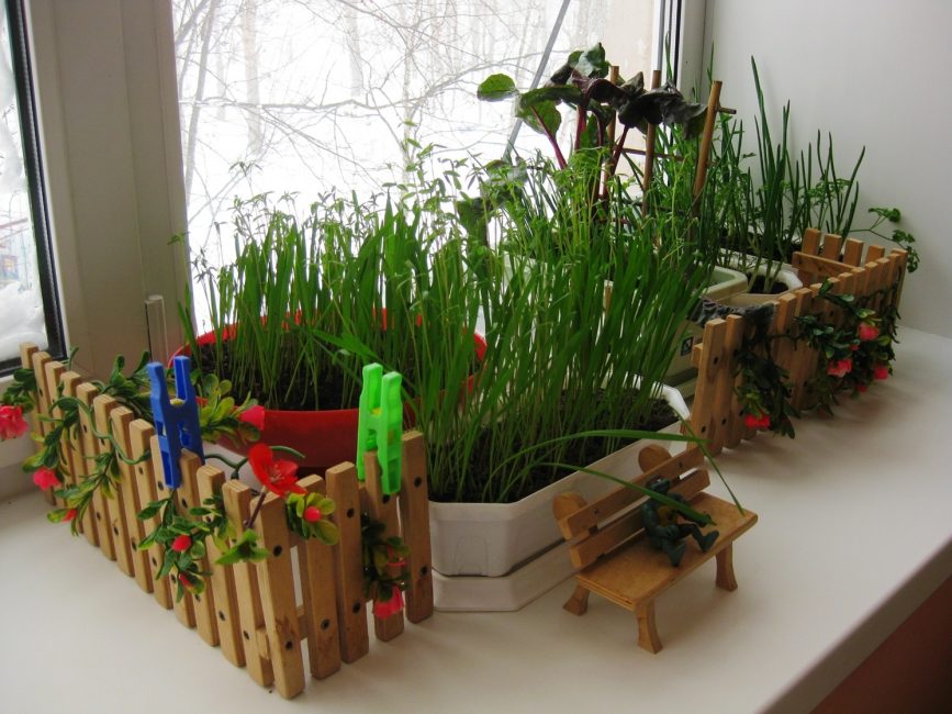 Mini-jardin sur le rebord de la fenêtre : tout l'hiver avec des vitamines