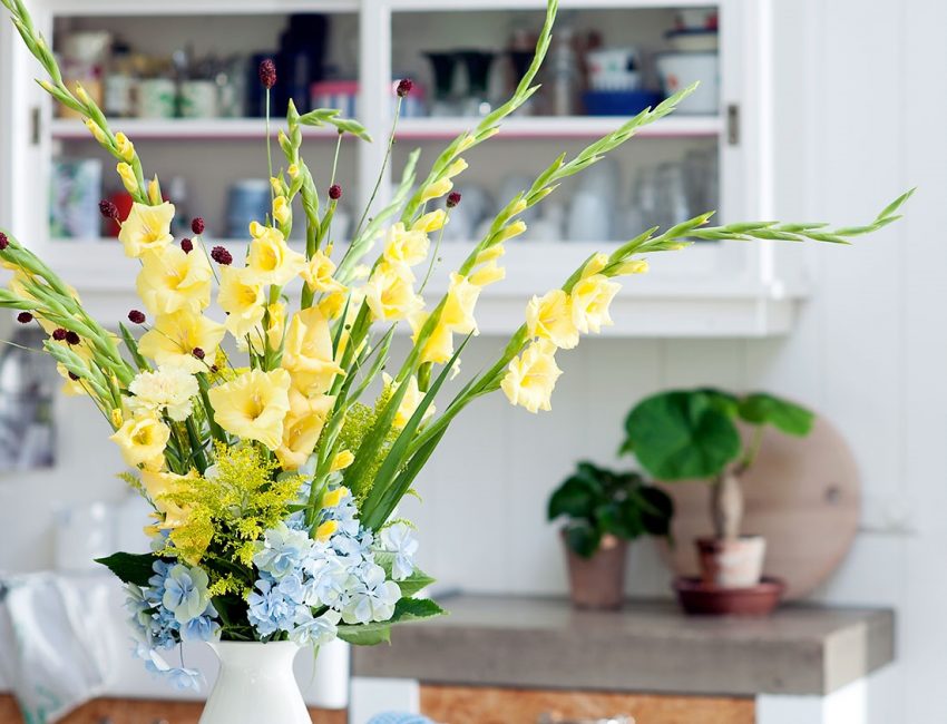 Bouquet de glaïeuls