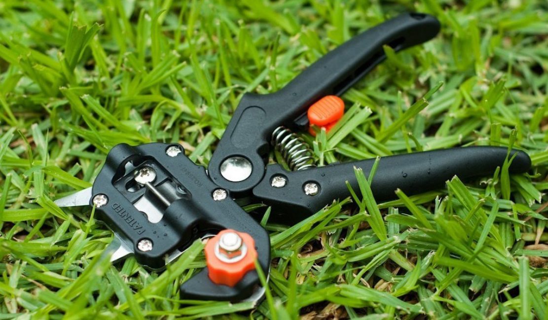 Le sécateur est un outil indispensable pour un bon jardinier.