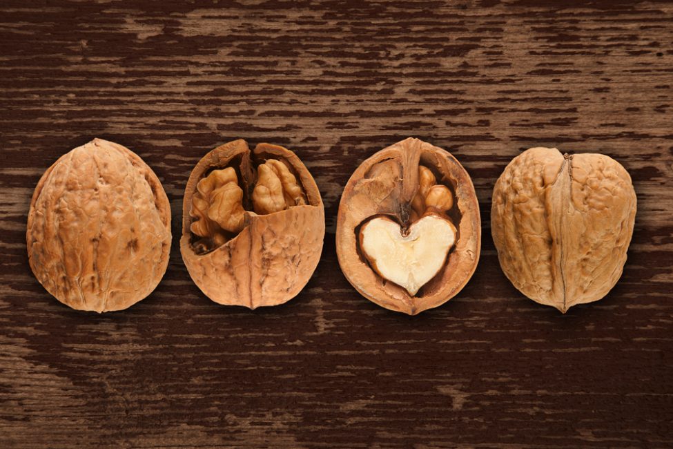 Les fruits du noyer sont particulièrement recommandés aux enfants en période de croissance.