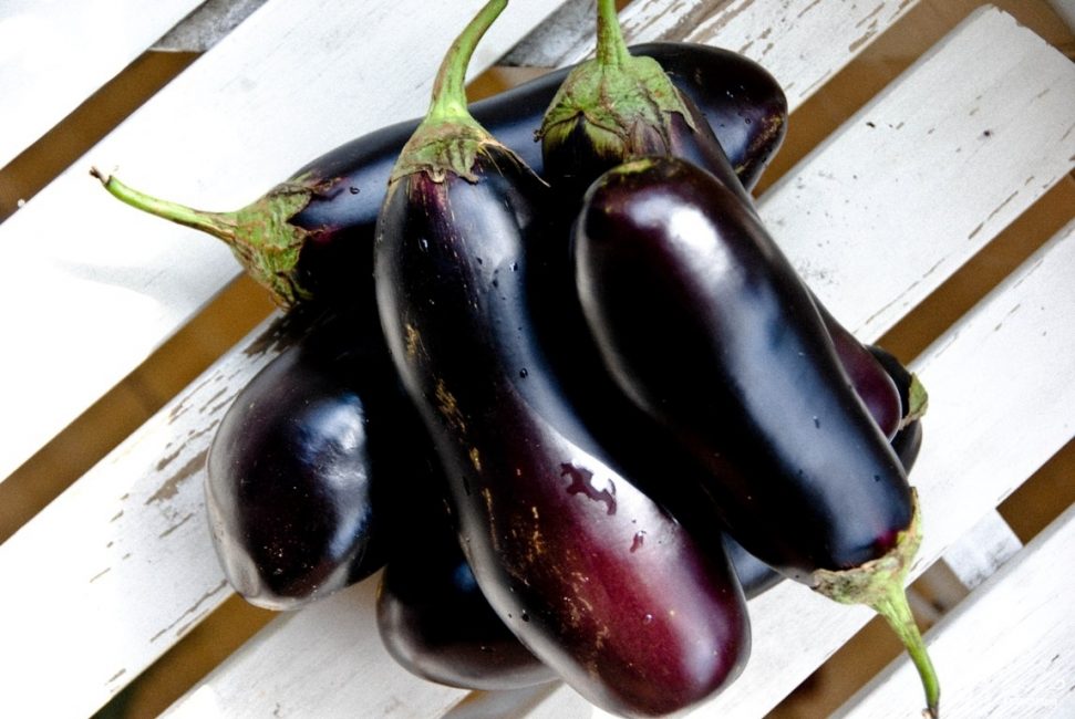 aubergine sur le sol