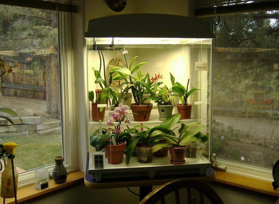 Eclairage artificiel pour plantes d'intérieur