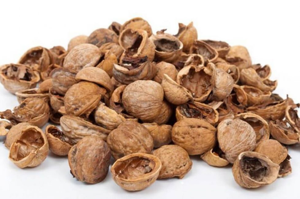 Les coquilles de noix, le plus souvent, sont simplement jetées.