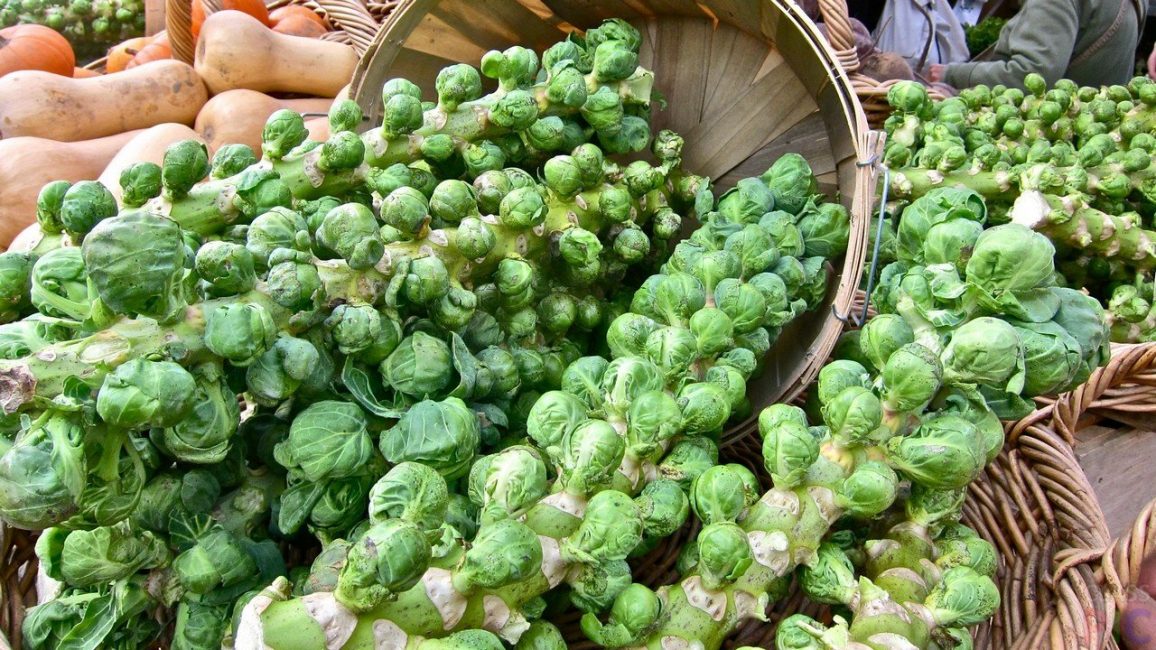 grappe de raisin choux de bruxelles