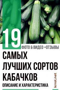 19 Les meilleures variétés de courgettes : description et caractéristiques. Choisissez votre variété préférée (Photo & Vidéo) + Avis
