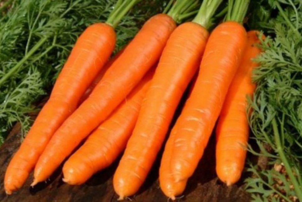 Variété Mikulovskaïa