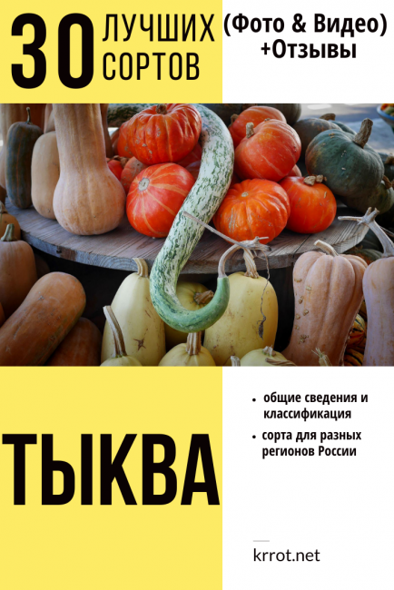 Citrouille : description des 30 meilleures variétés. Informations générales et classification, variétés pour différentes régions de Russie (Photo & Vidéo) + Avis