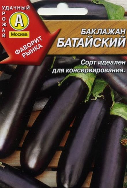 Variété baltique d'aubergine